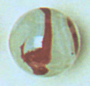 Silver Oxblood
