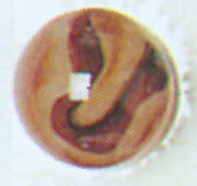 Orangeade Oxblood