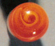 Red Slag