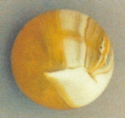 Uranium Yellow Slag